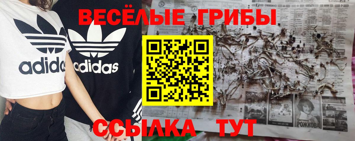 Меф мяу мяу Дзержинский